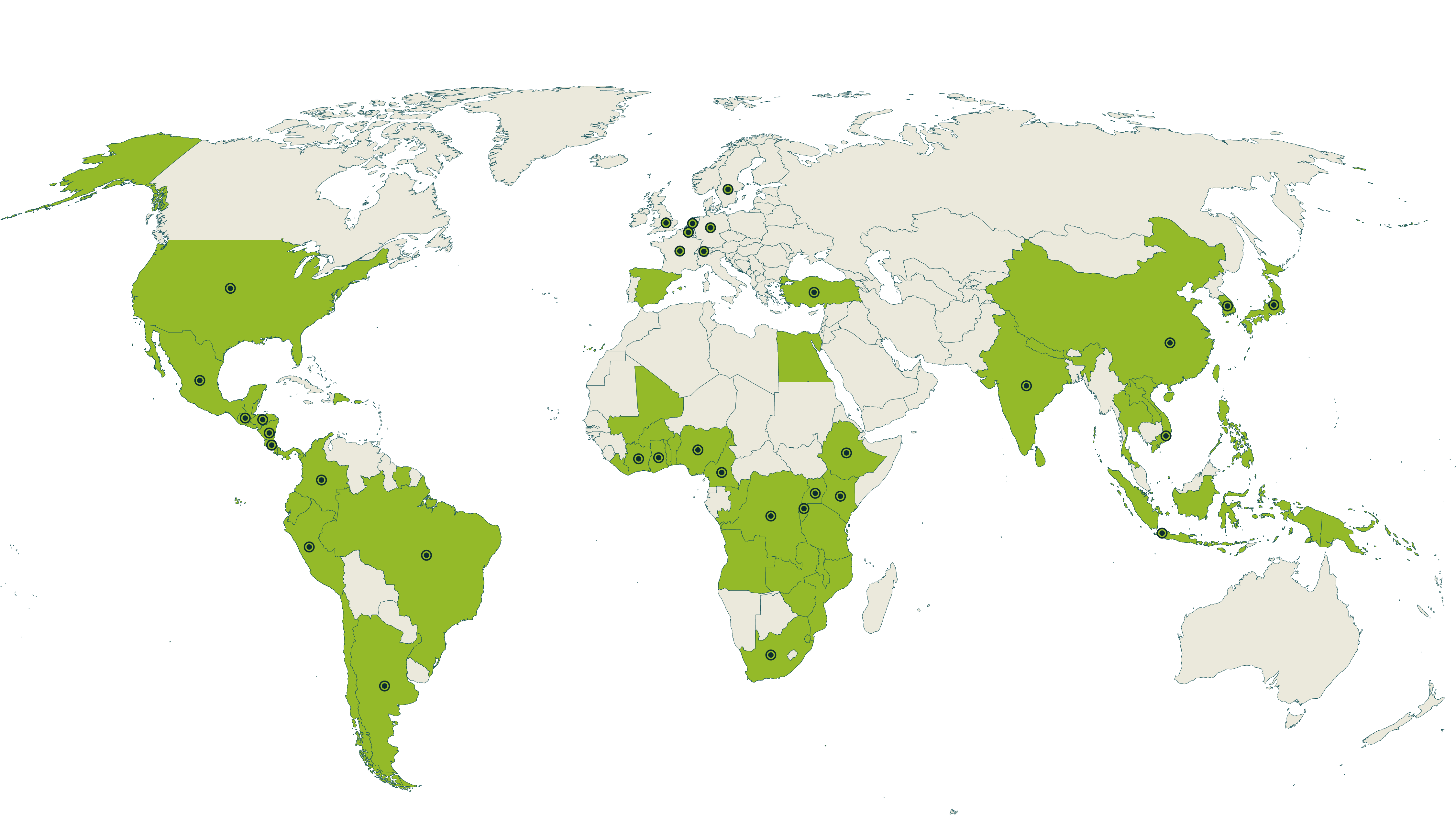 2024-annual-report-rainforest-alliance